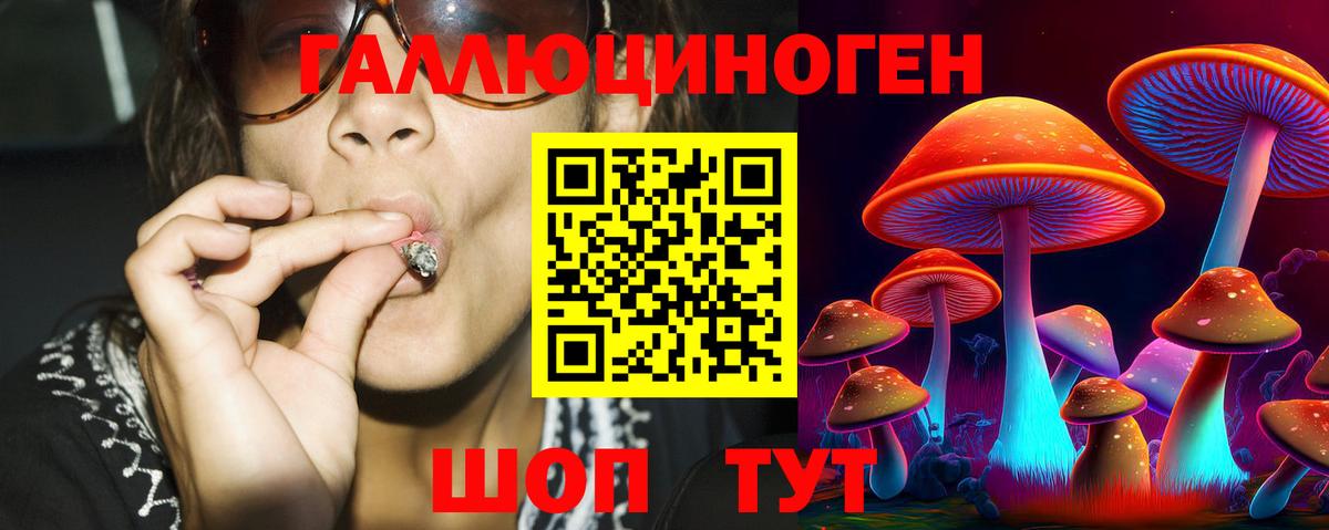 Лабытнанги  Псилоцибиновые грибы Cubensis  Вход с VPN 